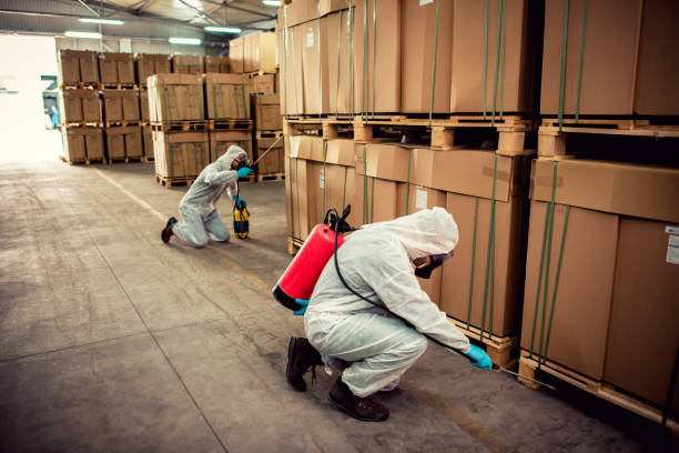 Best Pest Inspection Near Me  in Mcqueeney, TX