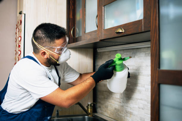 Best Local Pest Control Services  in Mcqueeney, TX