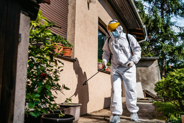 Best Affordable Pest Control Services  in Mcqueeney, TX