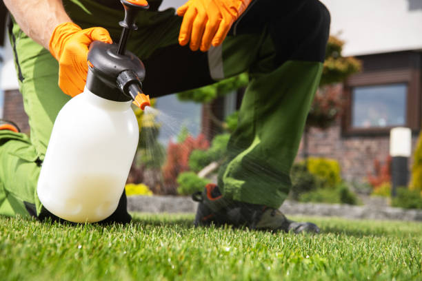 Best Bed Bug Extermination  in Mcqueeney, TX