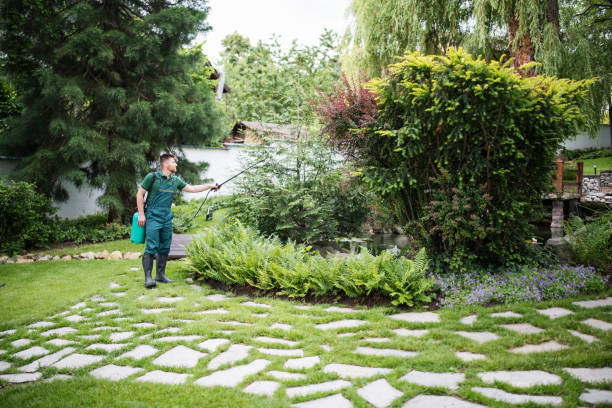 Best Best Pest Control Companies  in Mcqueeney, TX