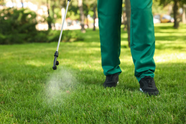 Professional Pest Control in Mcqueeney, TX