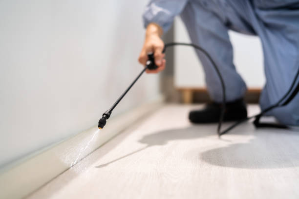 Best Residential Pest Control  in Mcqueeney, TX