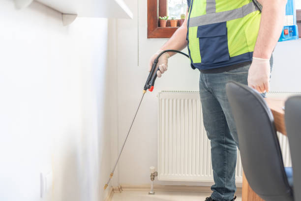 Best Wasp Removal Services  in Mcqueeney, TX
