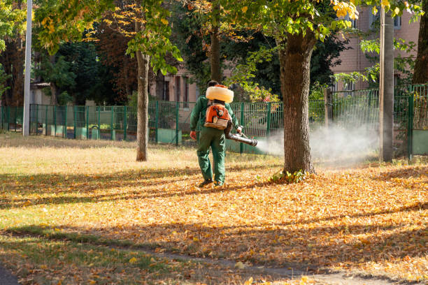 Best Residential Pest Control  in Mcqueeney, TX